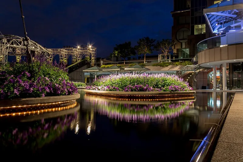 Designing with the Brain in Mind: How Neuroscience Is Elevating Architectural Practice